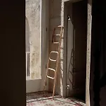 Lu Leccio