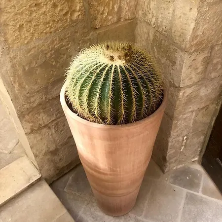 公寓式酒店 Lu Leccio